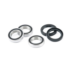 Wheel bearings Beta RR 300 13-17 Rear-DS23.60009 | RiMotoShop