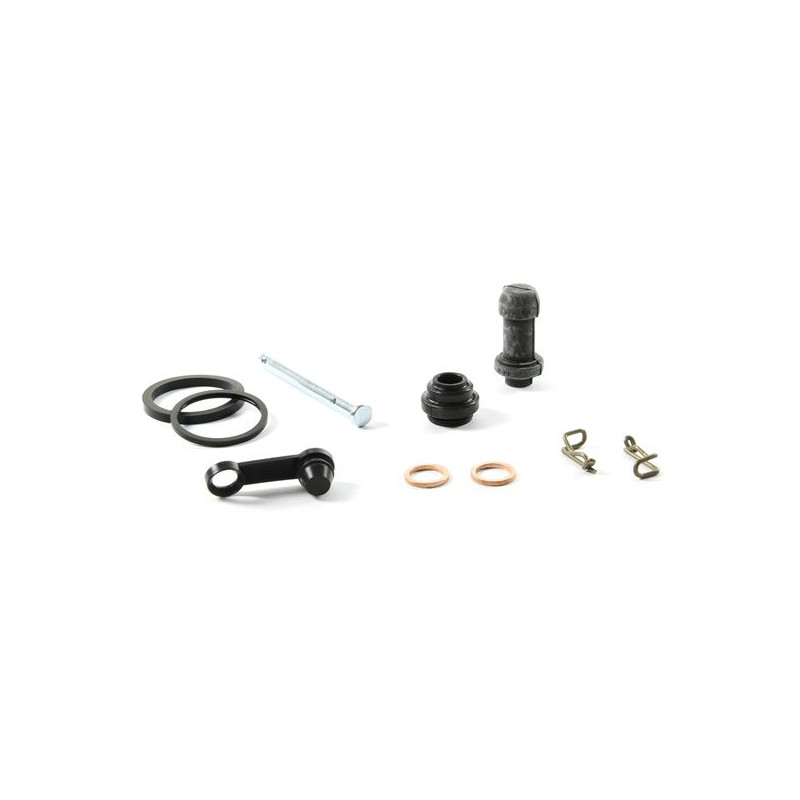 kit revisione pinza freno posteriore KTm Sx 125