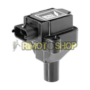 Bobina Encendido BMW F650GS