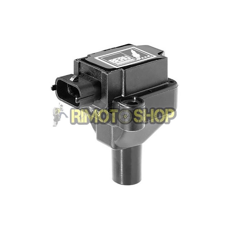 bobines d'allumage BMW F650GS-165501 | RiMotoShop