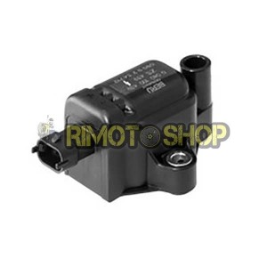 Ignition coil DUCATI Panigale S ABS 1199 2011-2015-165513 | RiMotoShop
