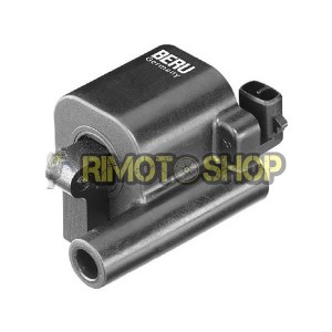 Bobina accensione DUCATI MONSTER 696 08-2014-165517|RiMotoShop