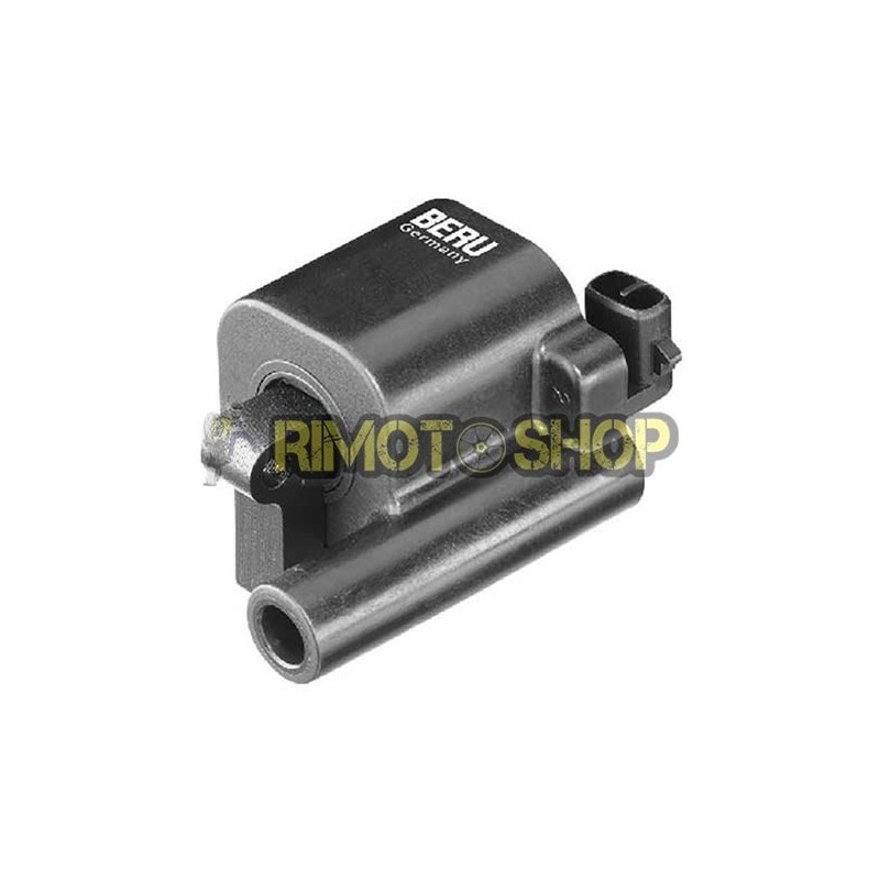 Bobina accensione DUCATI Hypermotard EVO 1100 2010-2012-165517|RiMotoShop