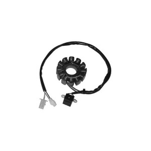 Statore accensione 12 POLI APRILIA 50 DITECH 2000-05 RLB10 VFA00 RLD10-3114502|RiMotoShop