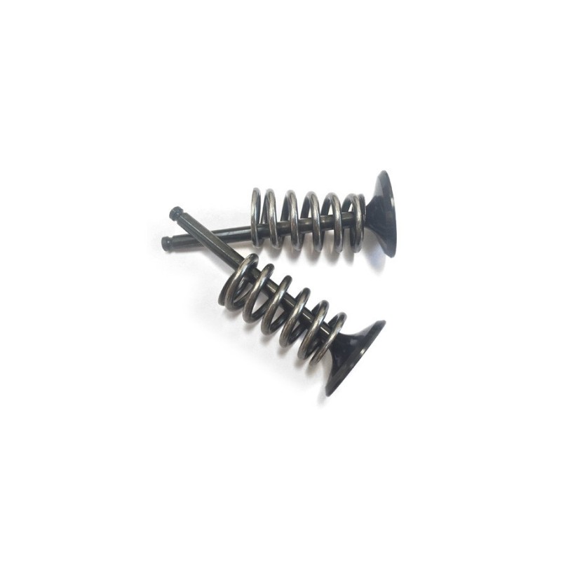 Kit de conversión de válvula de acero Suzuki RMZ 250 (04-06) aspiración