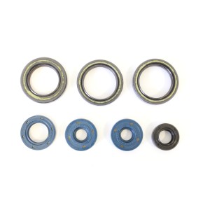 Aprilia RS 125 (96-14) Paraoli motore ATHENA P400010400013-P400010400013|RiMotoShop
