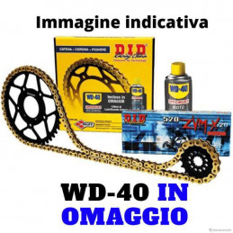 Kit Corona Pignone Catena 428HD YAMAHA 125 XT X Supermotard 05-07-100376-RiMotoShop