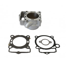 Cylinder and gaskets for...