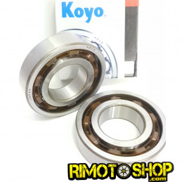 APRILIA RS 125 1996-2010 crankshaft main bearings Koyo c3-KIT-RTY122-RiMotoShop