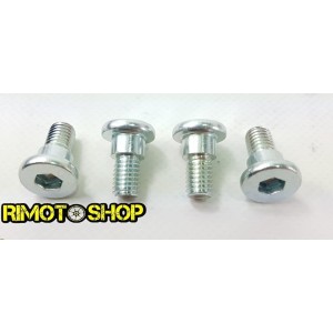 Honda CR 125 90-01 Rear brake disc screws kit-DS89.2003-RiMotoShop