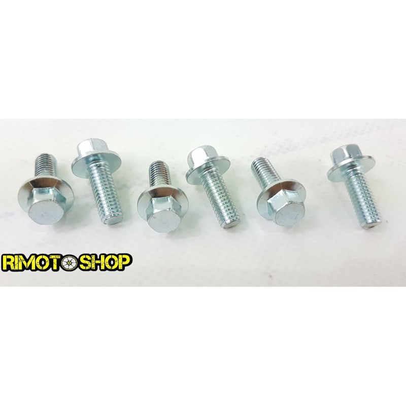 Yamaha YZ 250 98-18 Rear brake disc screws kit-DS89.2006 | RiMotoShop