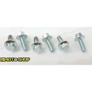 Yamaha YZ 426 F 00-02 Rear brake disc screws kit-DS89.2006 | RiMotoShop