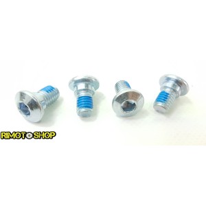 Suzuki RMZ 250 07-17 Rear brake disc screws kit-DS89.2012 | RiMotoShop