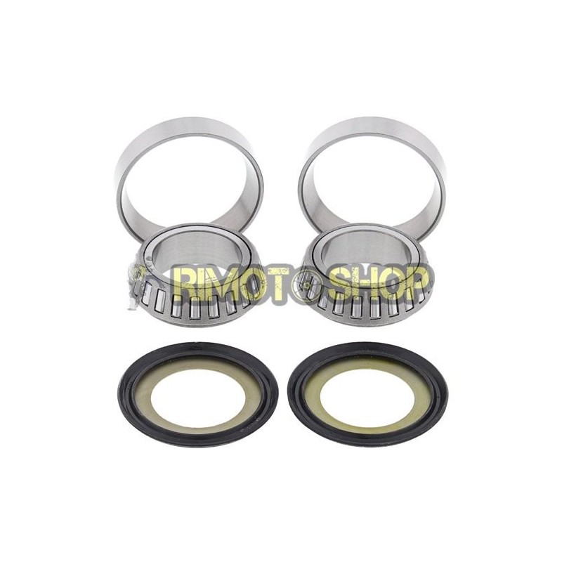 TM EN/MX 300 02-11 Steering bearings revision kit-WY-22-1010 | RiMotoShop