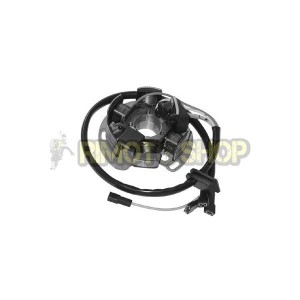 APRILIA RS 50 06-13 6-pole stator-168036 | RiMotoShop