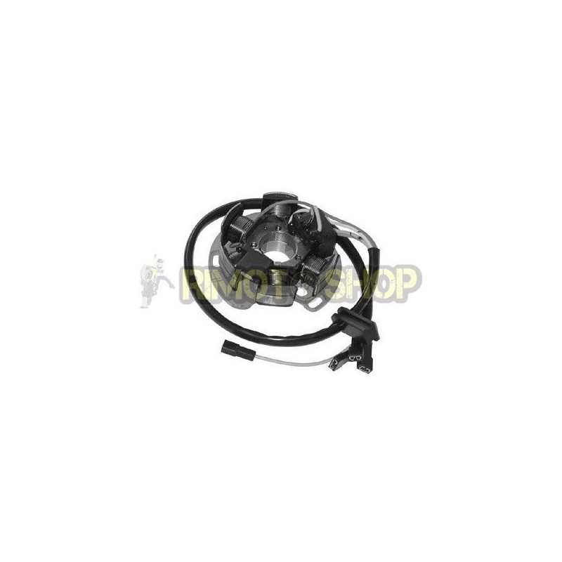 APRILIA RS 50 06-13 6-pole stator-168036 | RiMotoShop