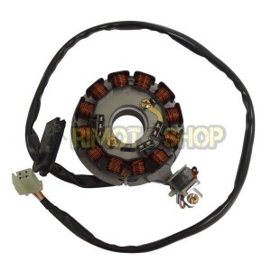 BETAMOTOR RR 50 AM6 STATORE-163082 | RiMotoShop