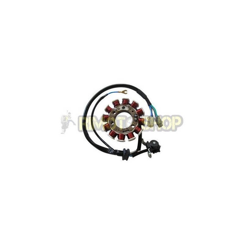 DERBI Senda 125 R 4T 04-07 Statore-174502|RiMotoShop