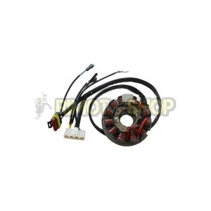 HM CRE 50 06-09 STATORE 12 POLI-31143502|RiMotoShop