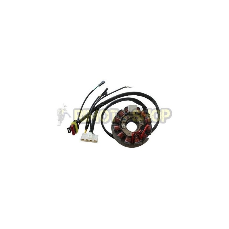 HM CRE 50 06-09 STATORE 12 POLI-31143502|RiMotoShop