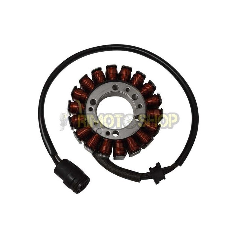 KAWASAKI Z 1000 03-06 stator-161800-RiMotoShop