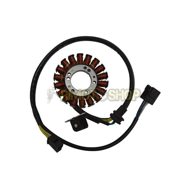 SUZUKI DR Z 400 00-03 STATOR-161705 | RiMotoShop