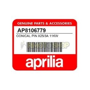SPILLO CONICAL PIN X25/3A CARBURETOR APRILIA RS RX MX SX 125 PHBH 28BD-AP8106779 | RiMotoShop