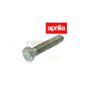VITE M5x25 APRILIA RS 125 06-10-AP0241770|RiMotoShop