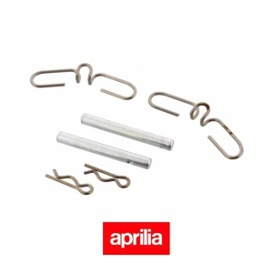 PERNO E MOLLA PINZA Delantero Aprilia RS 125 06-10