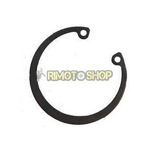 FERMO SEEGER D.47 APRILIA RS 125 06-10 FRONT O REAR-AP8125842 | RiMotoShop