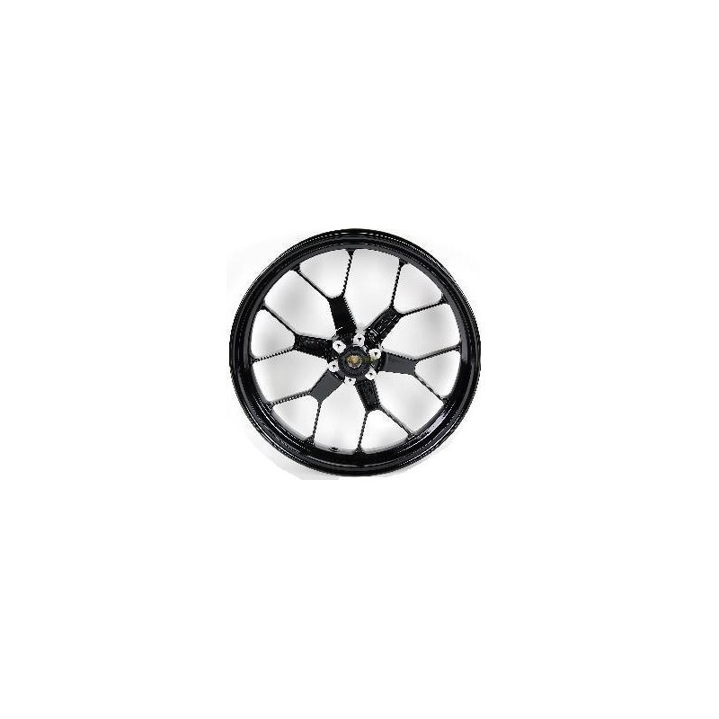 CIRCLE WHEEL FRONT APRILIA RS 125 06-10-AP8128240 | RiMotoShop