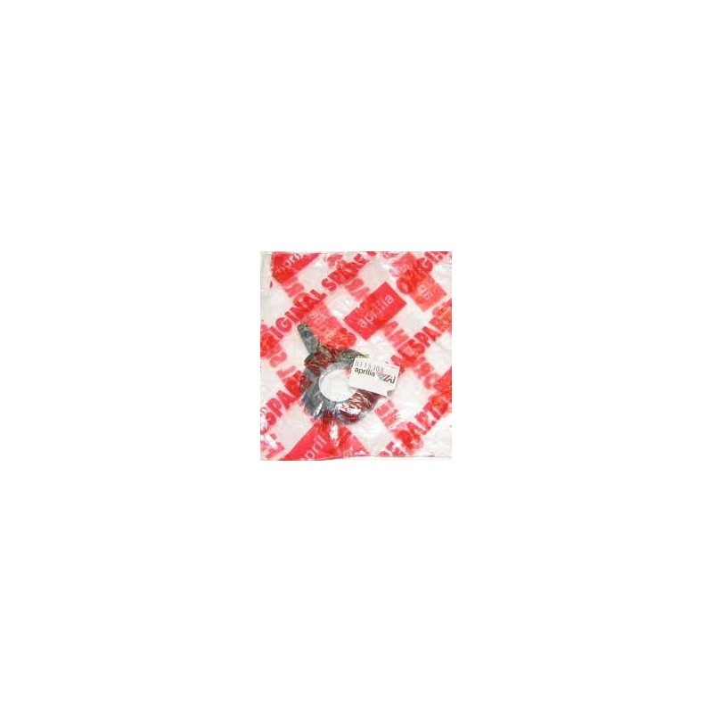 LEVER AIR APRILIA RS 125 96-10-AP8118308 | RiMotoShop