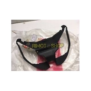 PLASTIC PORTA LIGHT APRILIA RS 125 06-10-AP8179271 | RiMotoShop