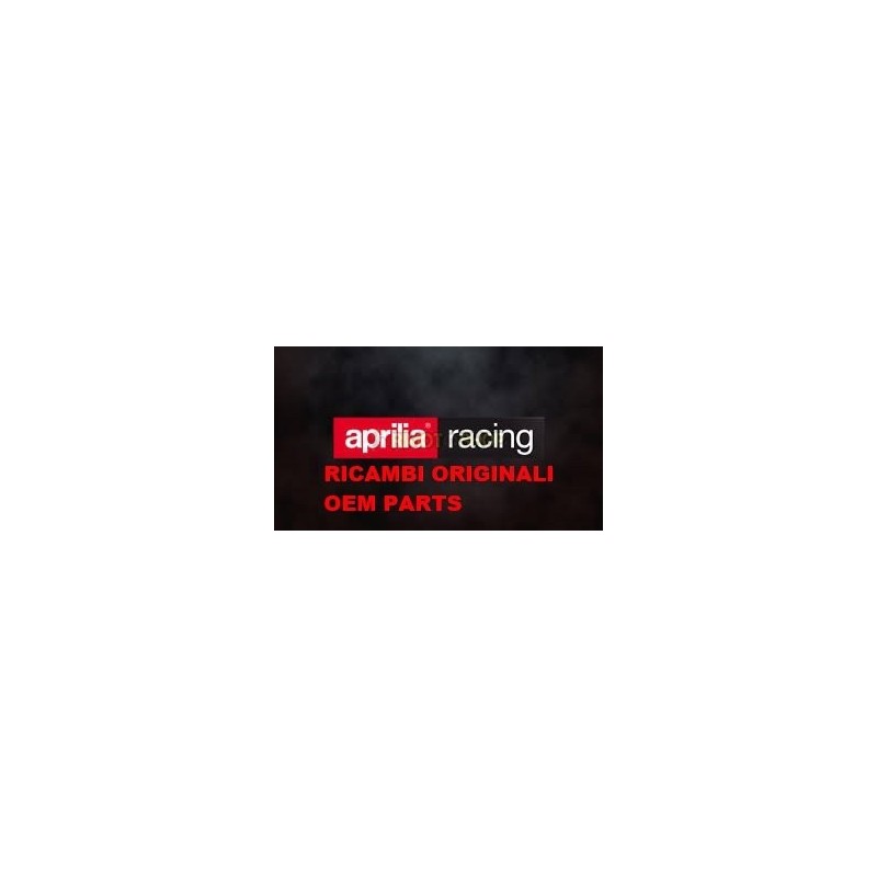 HULL TAIL RH APRILIA RS 125 06-10-AP8179197 | RiMotoShop