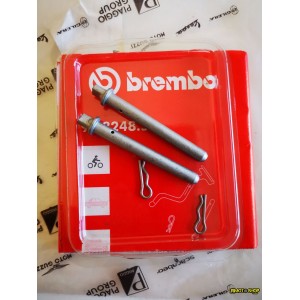 Perni pastiglie freno con fermo copiglia APRILIA RS