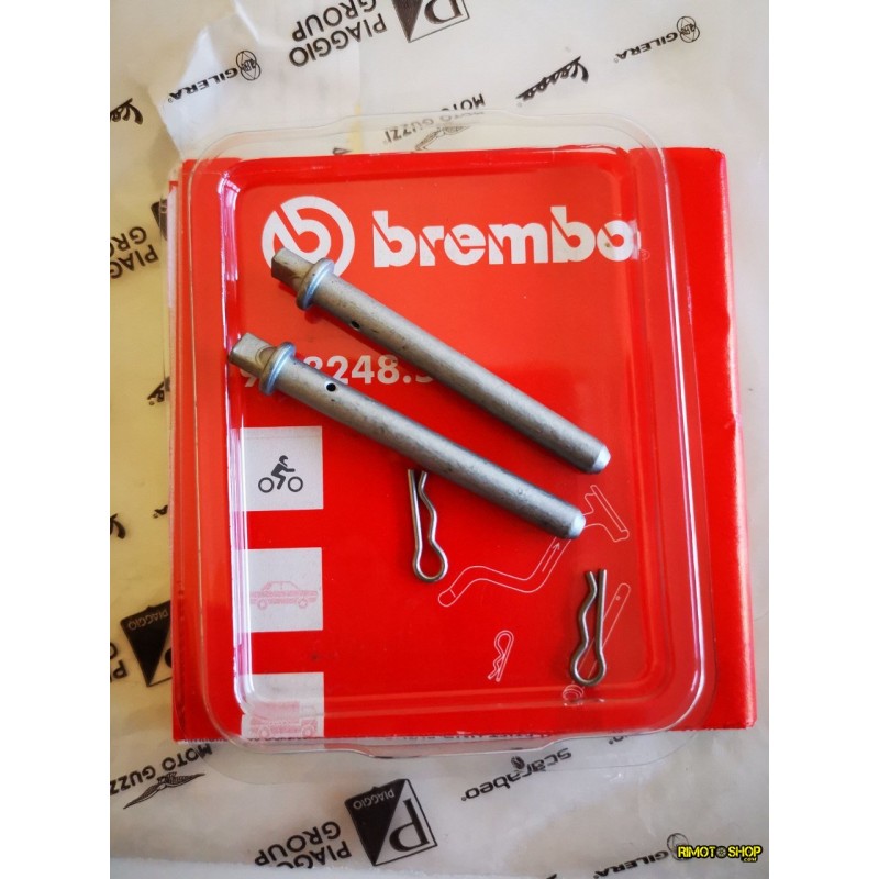 Brake pad pins with pin lock APRILIA RS 250 1998-2003-AP8113721 | RiMotoShop