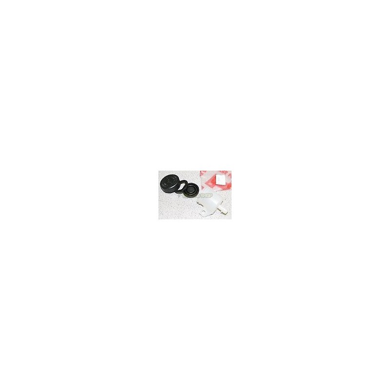 SERBATOIO OLIO FRENO APRILIA RS 250-AP8133873 | RiMotoShop