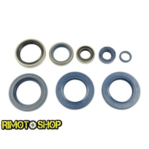 Serie Paraolio KTM DUKE 640 03-06 athena-P400270400006 | RiMotoShop