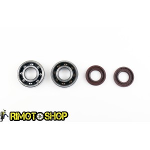 Kit de palier d'arbre pour vilebrequin DERBI GPR NUDE & NUDE TUNING 06-08