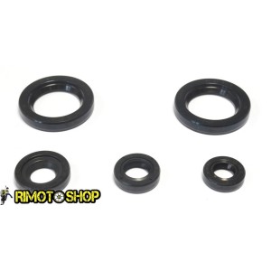 Serie Paraolio KTM DUKE 200 12-15 athena-P400270400060|RiMotoShop