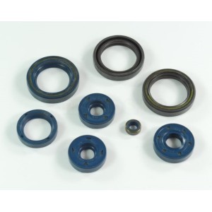 kit retenes motor 123 cc. 