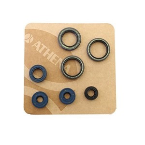 Serie Paraolio 122 cc. ROTAX 122 athena-P400010400013|RiMotoShop