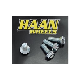 kit viti disco freno Haan Wheels Husqvarna Tc 65