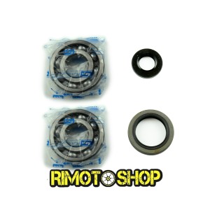 Kit Retenes y rodamientos ciguenales SUZUKI RM 250 03-05 koyo