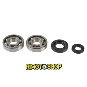 Oil seal kit and main bearings YAMAHA YZ 250 01-18 koyo-P400485444038 | RiMotoShop