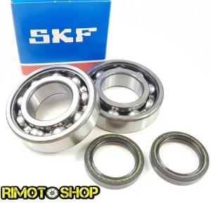 Oil seal kit and main bearings APRILIA RS 125 ROTAX 122 SKF C4-P400440444001 | RiMotoShop