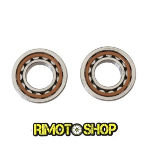 Oil seal kit and main bearings Ktm EXC 520 RACING 00-01-P400270444019 | RiMotoShop
