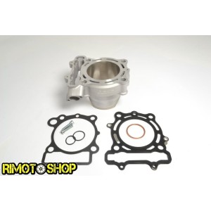 Cylinder and gaskets for KAWASAKI KX 250 F 11-14-EC250-017N | RiMotoShop