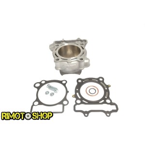 Cylinder and gaskets for SUZUKI RM-Z 250 07-09-EC510-009 | RiMotoShop