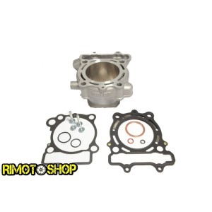 Cylinder and gaskets for SUZUKI RM-Z 250 10-18-EC510-019 | RiMotoShop
